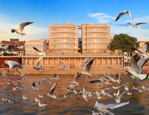Best Banarasi Sweet Shops: Lal Peda, Rabri & Kashi’s Sugar Legacy
